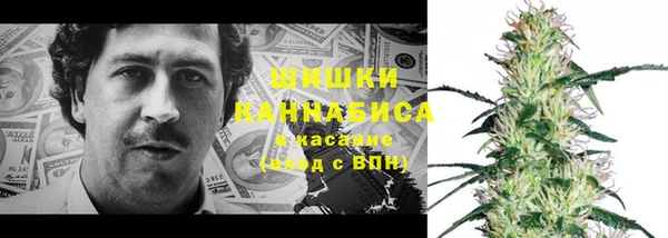 прущие грибы Белокуриха
