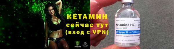 сатива Белоозёрский