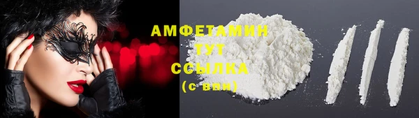 прущие грибы Белокуриха
