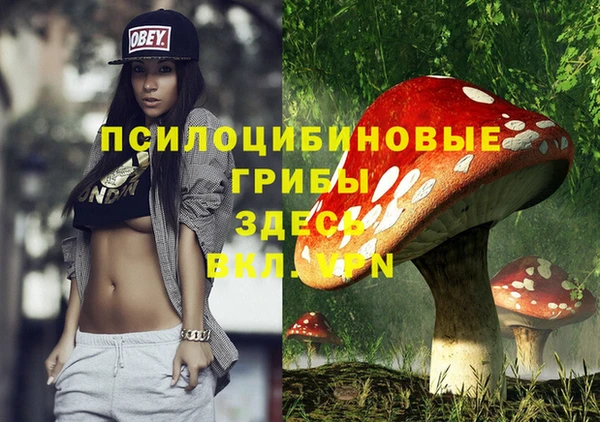 сатива Белоозёрский
