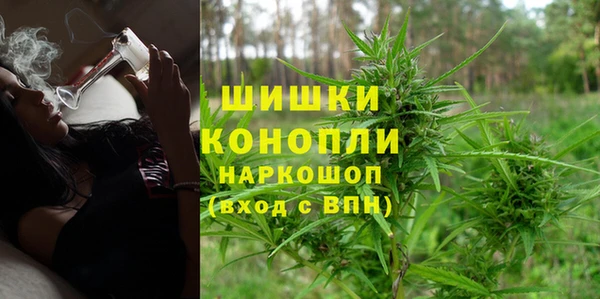прущие грибы Белокуриха