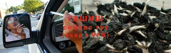 прущие грибы Белокуриха