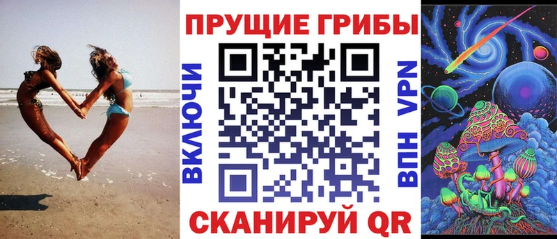hydra tor  Ростов-на-Дону  Галлюциногенные грибы Psilocybe  купить  цена 